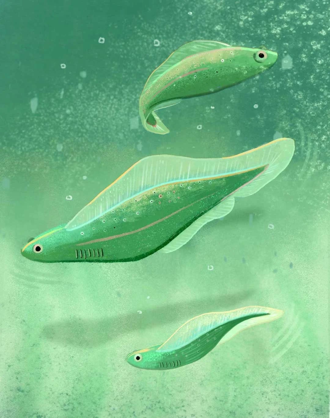 Three green, fish-shaped translucent objects with small eyes, floating in a green, underwater scene.