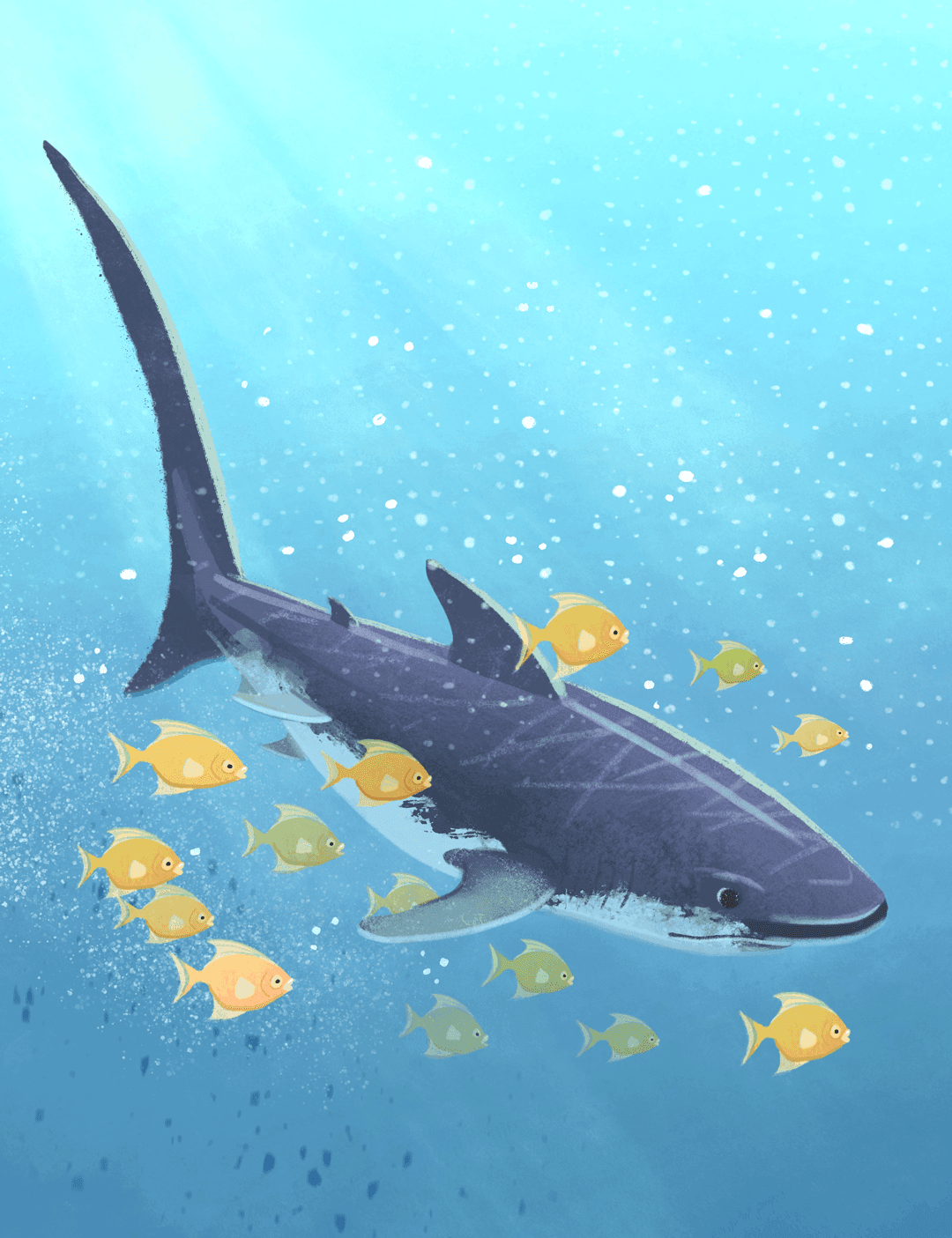 An illustration of a large whale swimming underwater with small yellow and green fish surrounding it, with sunlight filtering down from above.