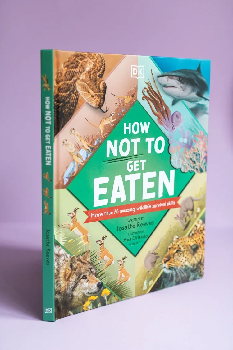 How Not To Get Eaten