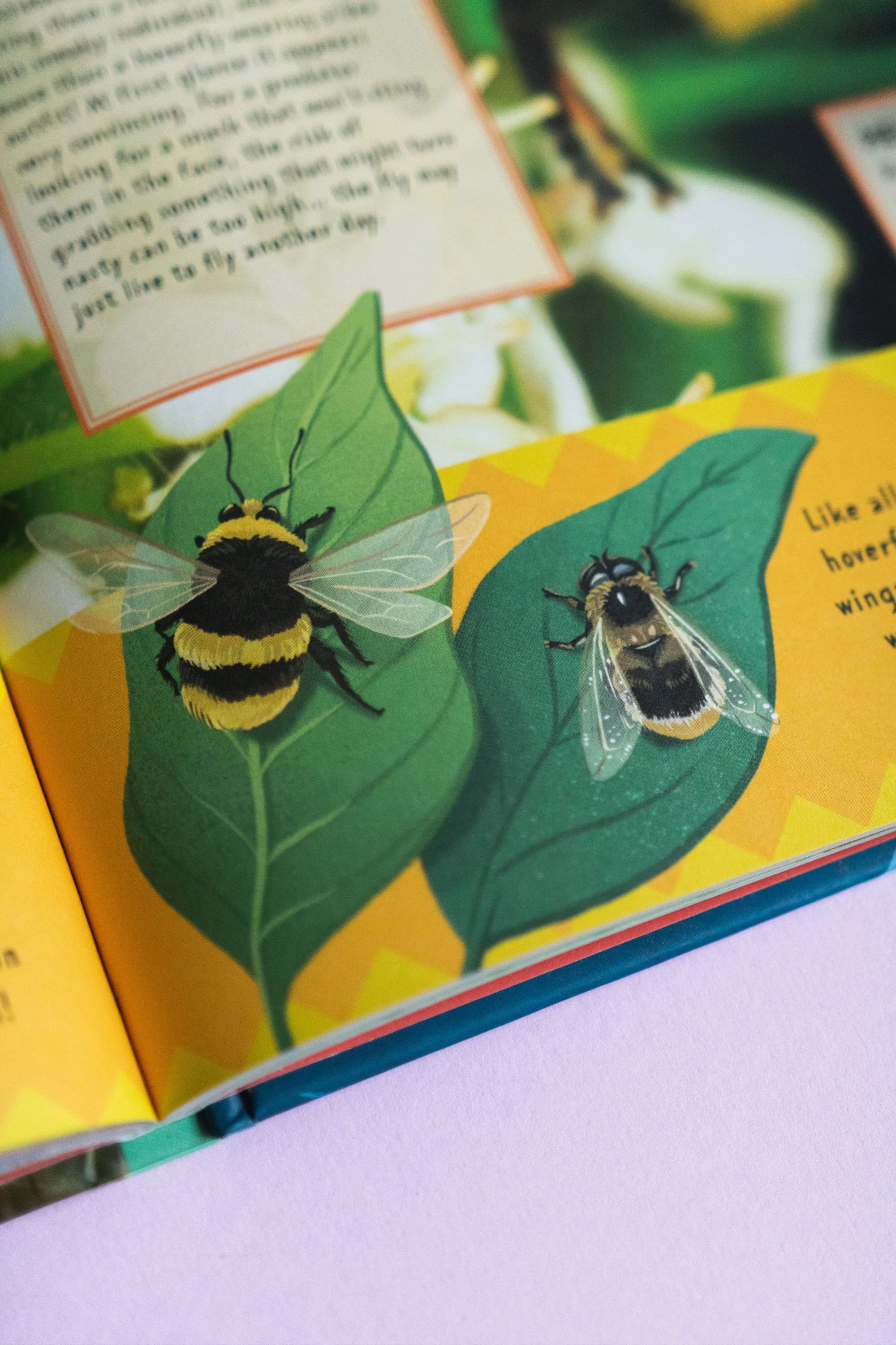 Illustration of a bumblebee and a honeybee on green leaves from a children's book.