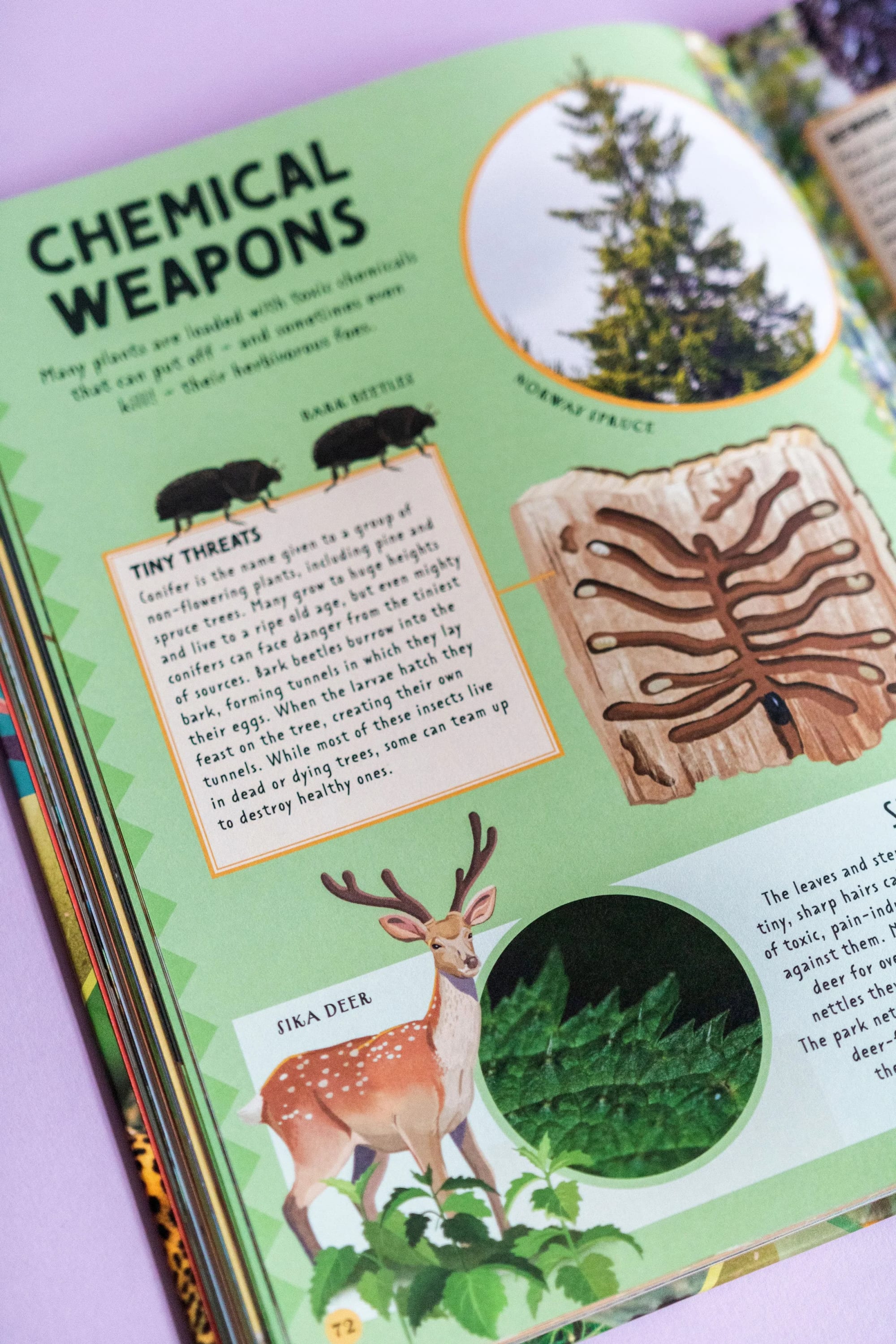 A colorful educational book page about chemical weapons, featuring an illustration of a tree, a diagram of a beetle, and a drawing of a sika deer.
