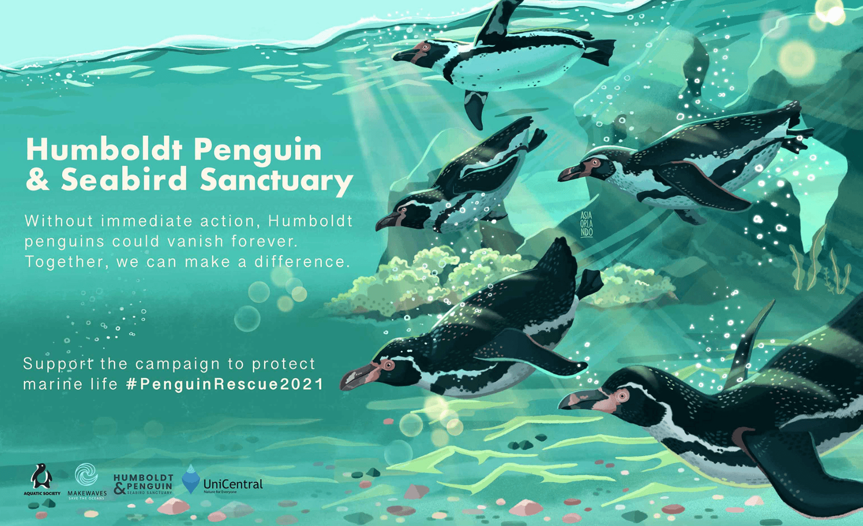 Full campaign illustration of Humboldt penguins swimming underwater.