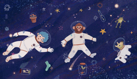 Illustrated Animations