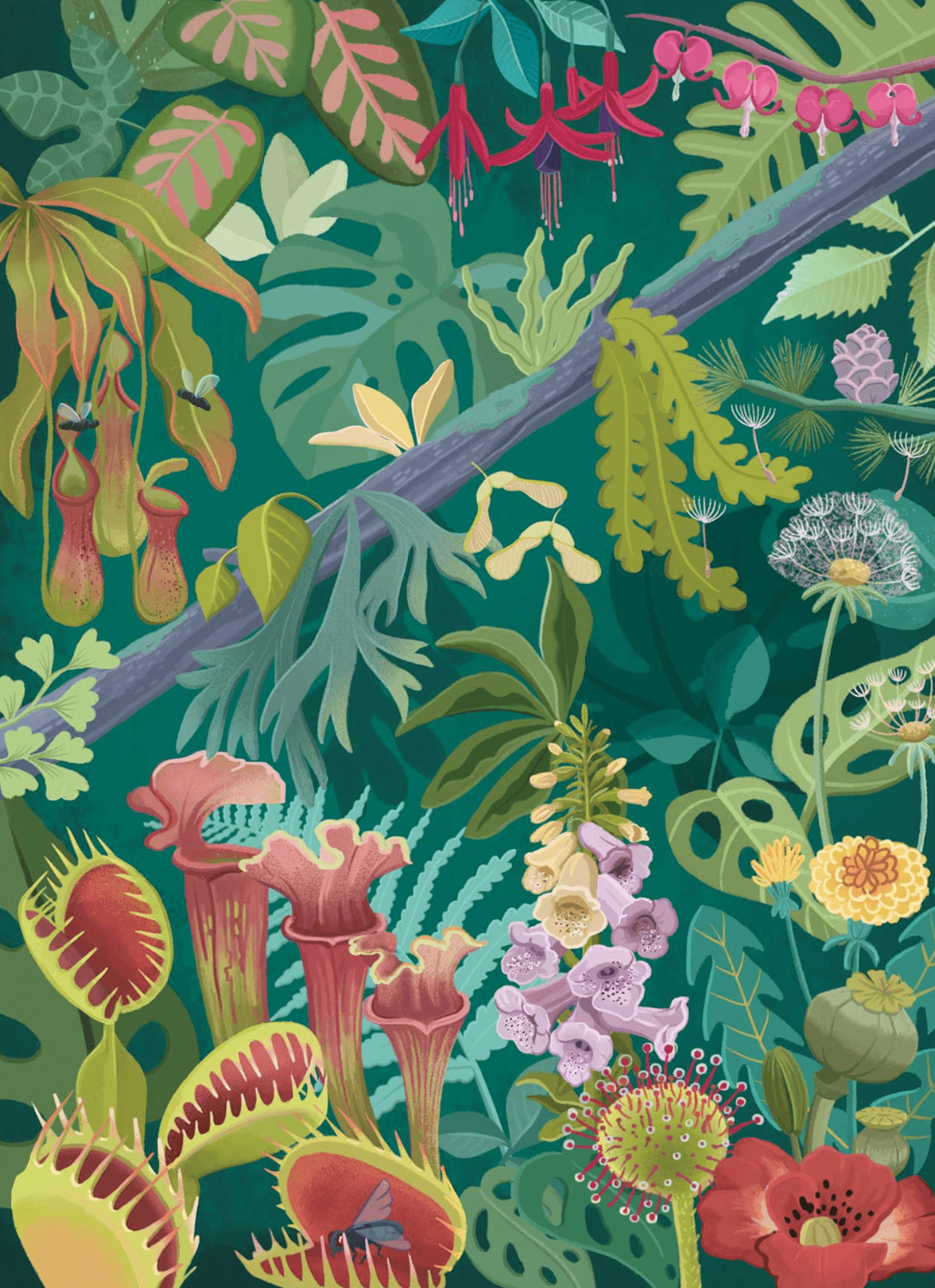 Images Doc issue 401 alternate cover composition, plants and flowers detail.