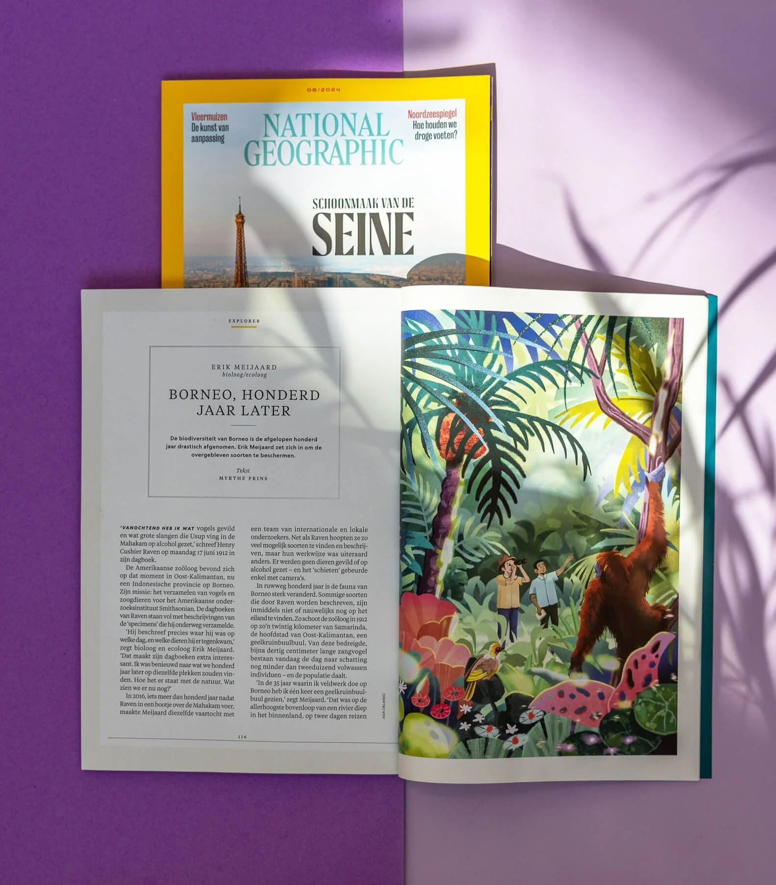 Open magazine with colorful jungle illustration on the right page and a written article on the left page, placed on a purple surface with shadows.