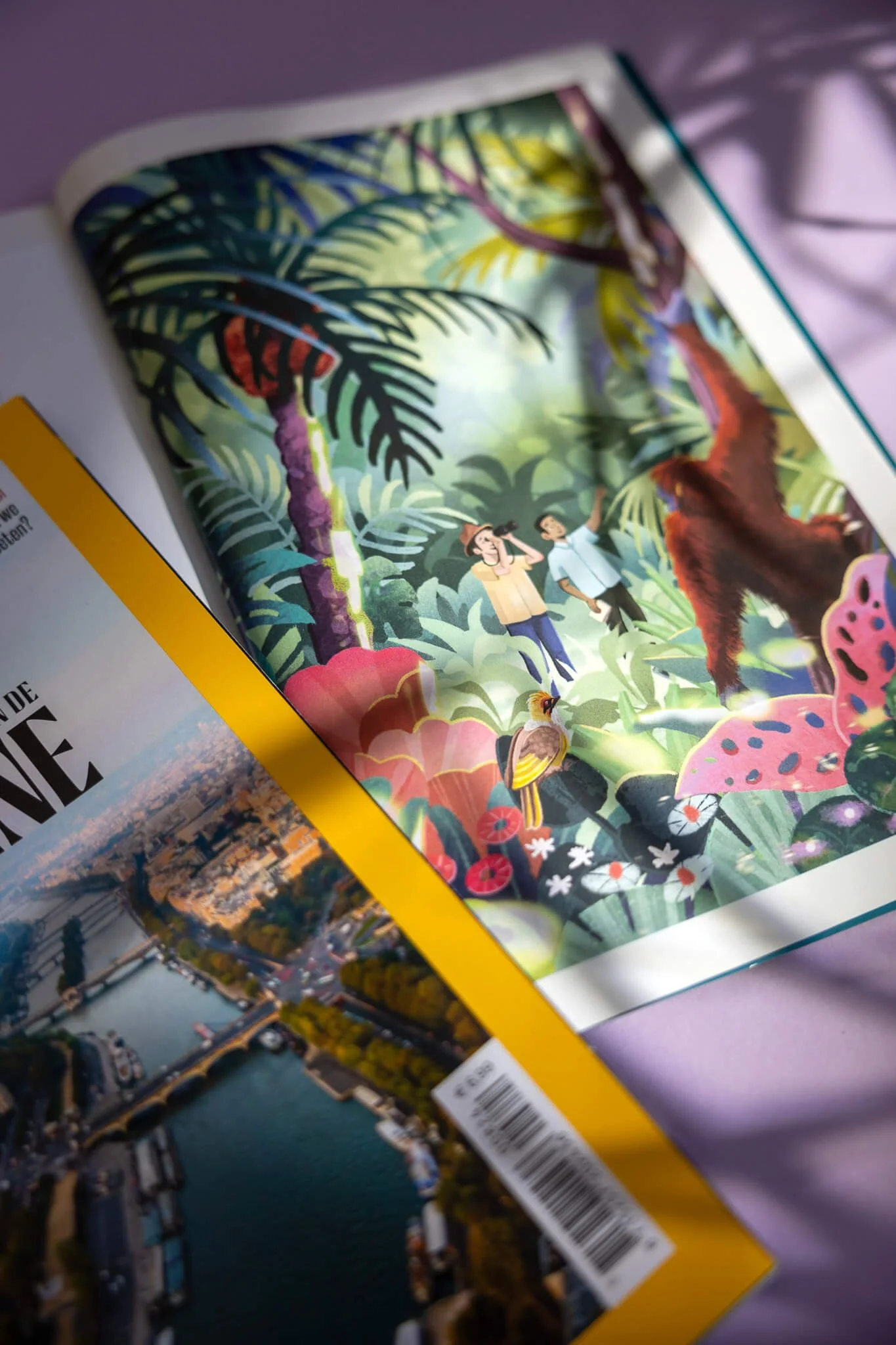 Open magazines, one showing a colorful illustration of a jungle scene with two people, animals, and lush plants, and the other showing an aerial photo of a city with water and bridges.