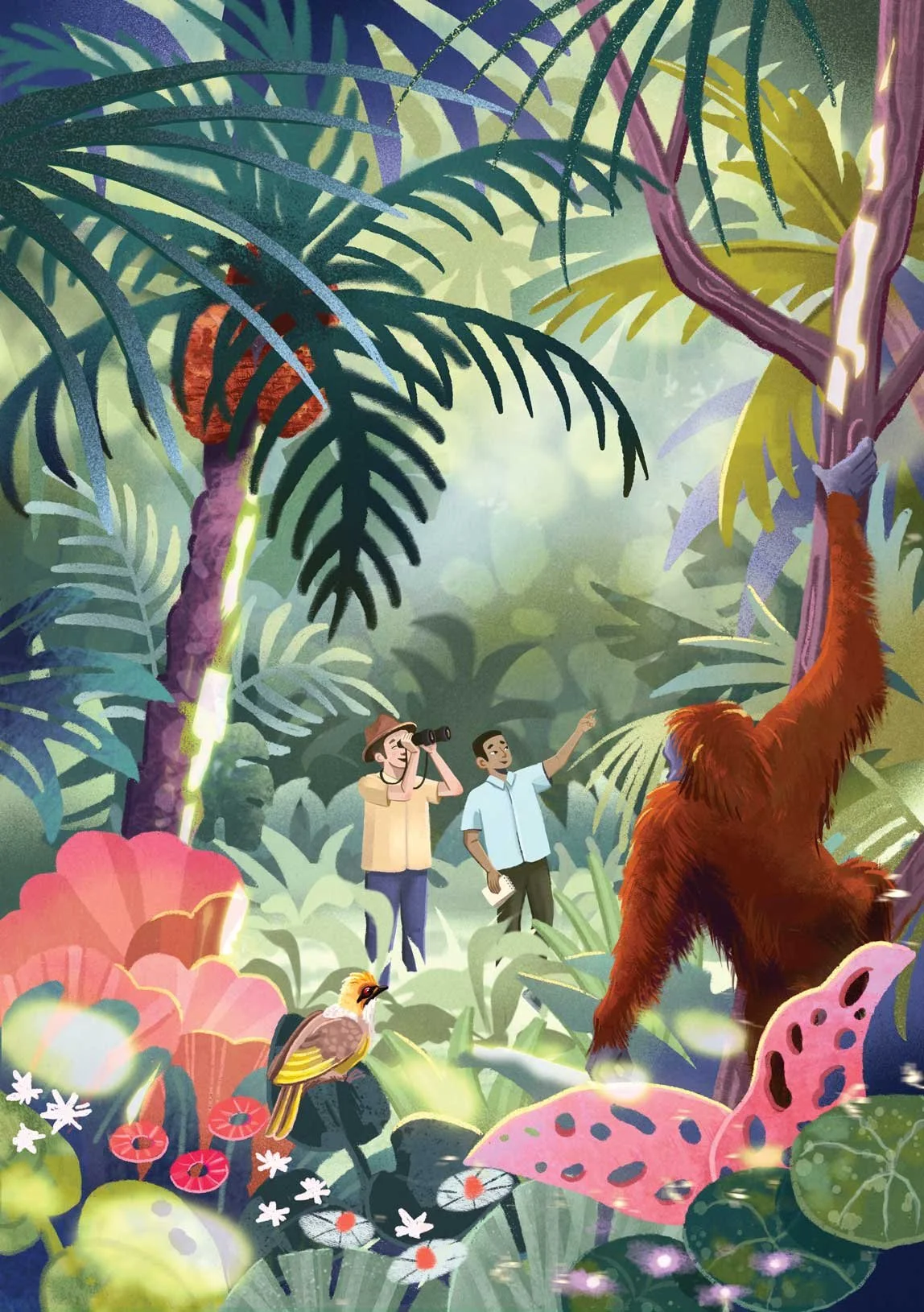 Illustration of a jungle scene featuring a large orangutan hanging from a tree, two explorers observing and pointing towards the orangutan, one explorer looking through binoculars, a colorful bird perched on a branch, and lush tropical plants and flowers.