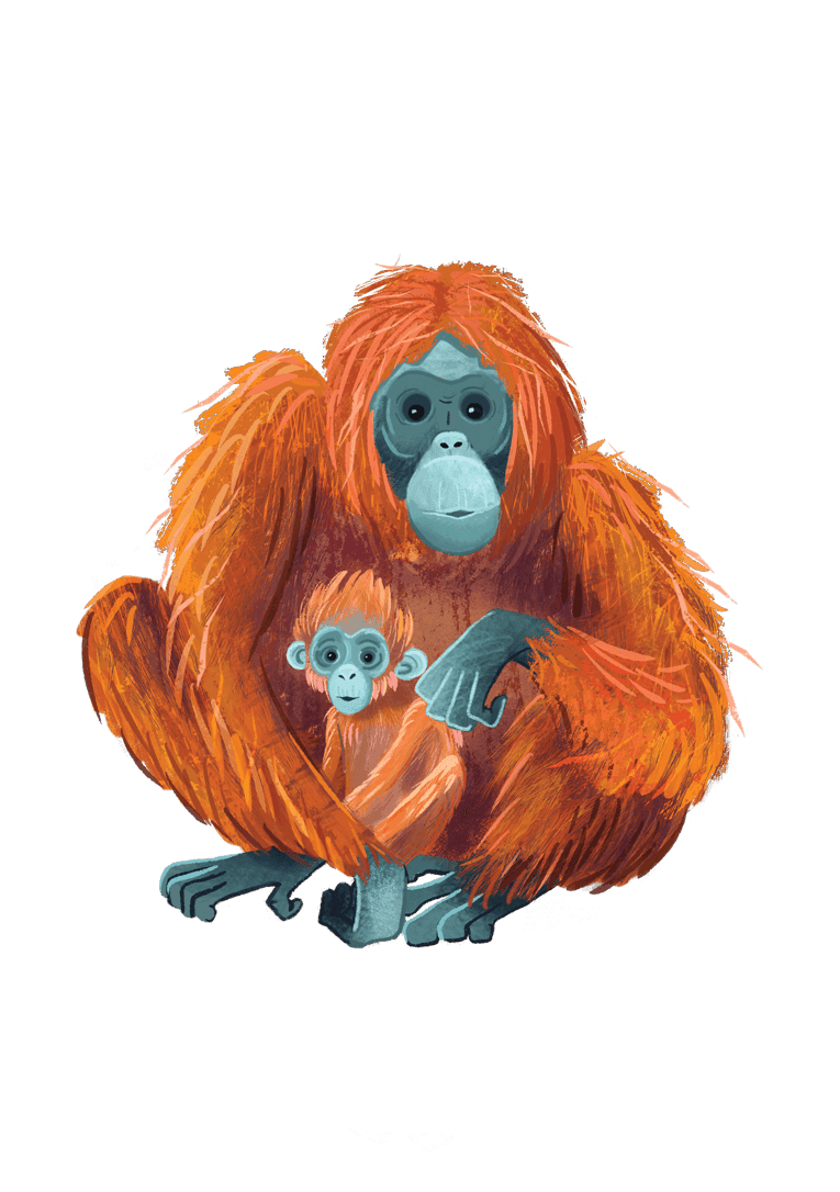 Illustration of a mother orangutan with an orange coat holding her young orangutan with a similar coat, both sitting on a black background.