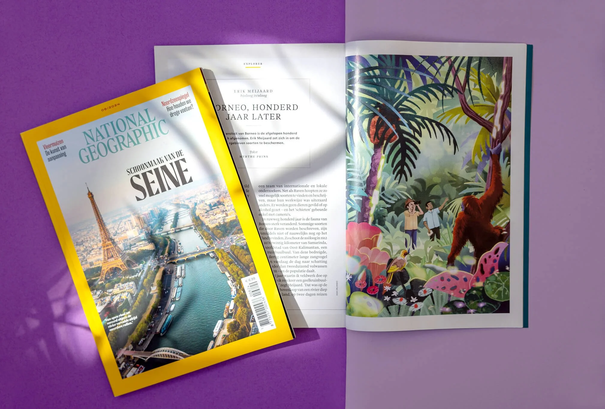 National Geographic Borneo Story