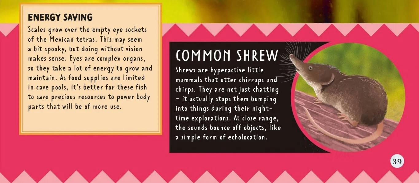 Page from a book with pink and yellow background, featuring a section titled 'Energy Saving' with information about eye socket scales of Mexican tetras, and a section titled 'Common Shrew' with text describing the small mammal, accompanied by a photograph of a shrew on a pink surface.