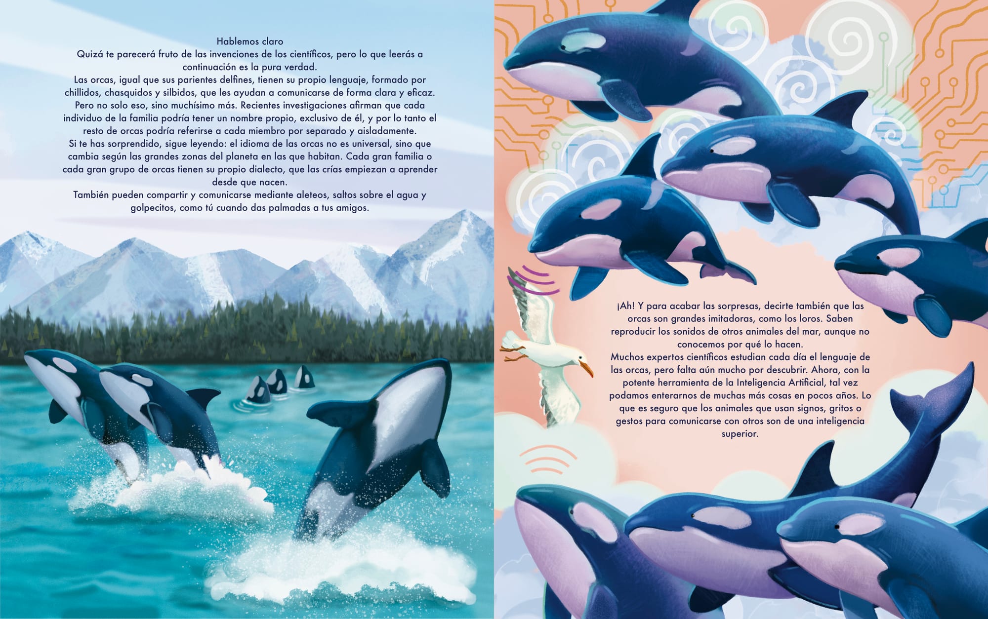 Orca communication spread, pods leaping and signalling each other.