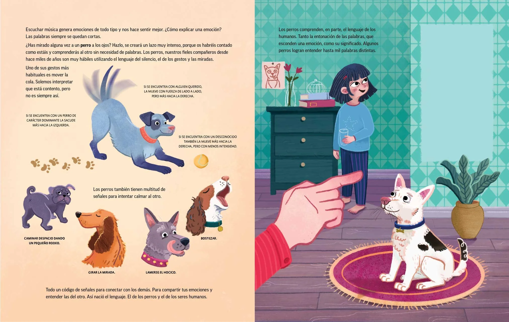 An illustration of a girl standing in a room with a dog seated on a rug, pointing at her. The room has teal patterned wallpaper, a dark green dresser, a potted plant, and picture frames. The girl has dark hair with red hair clips, and the dog is white with black spots and a yellow collar.