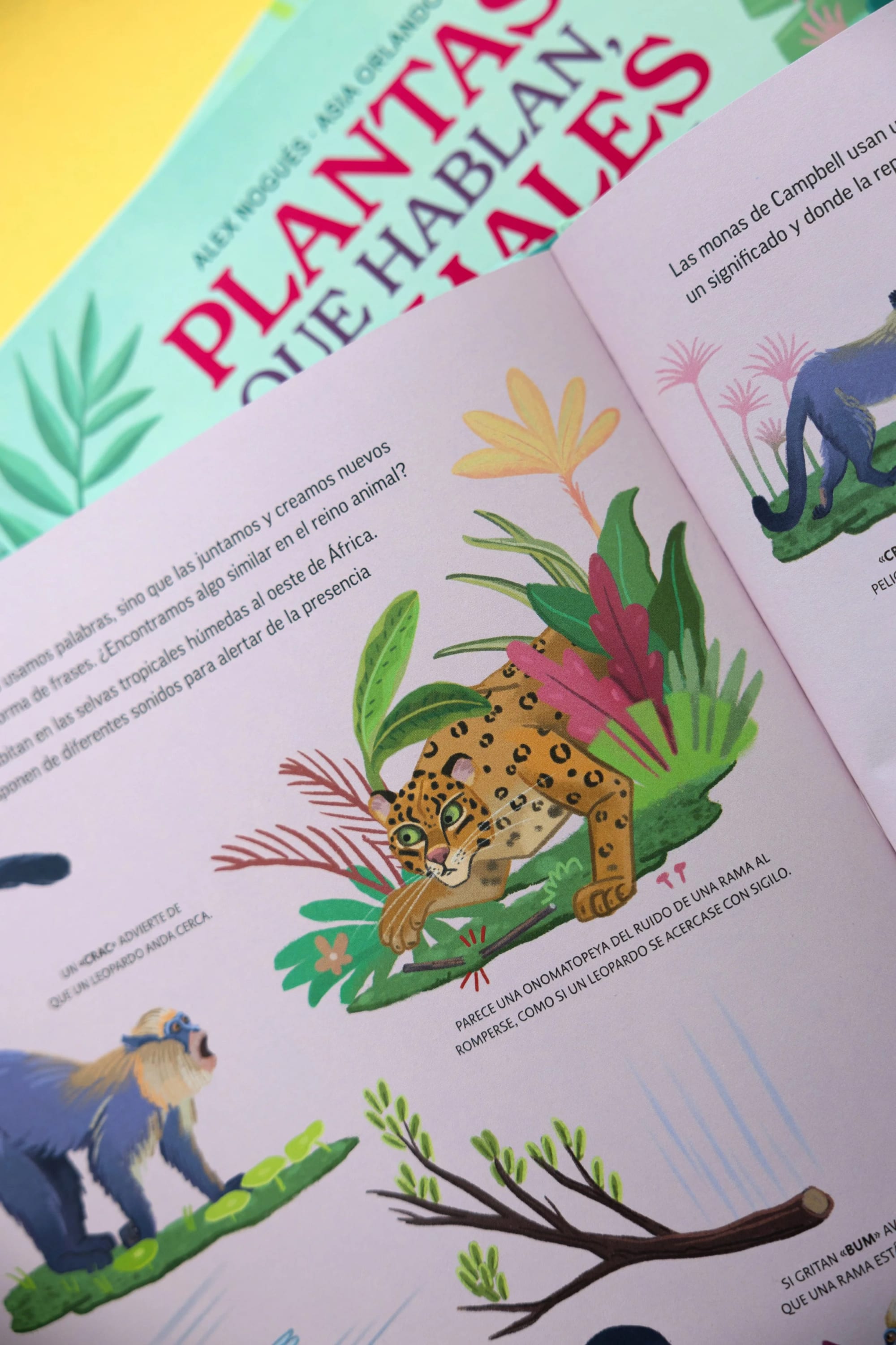 Open book with colorful illustrations of jungle animals and plants, including a jaguar and a monkey.