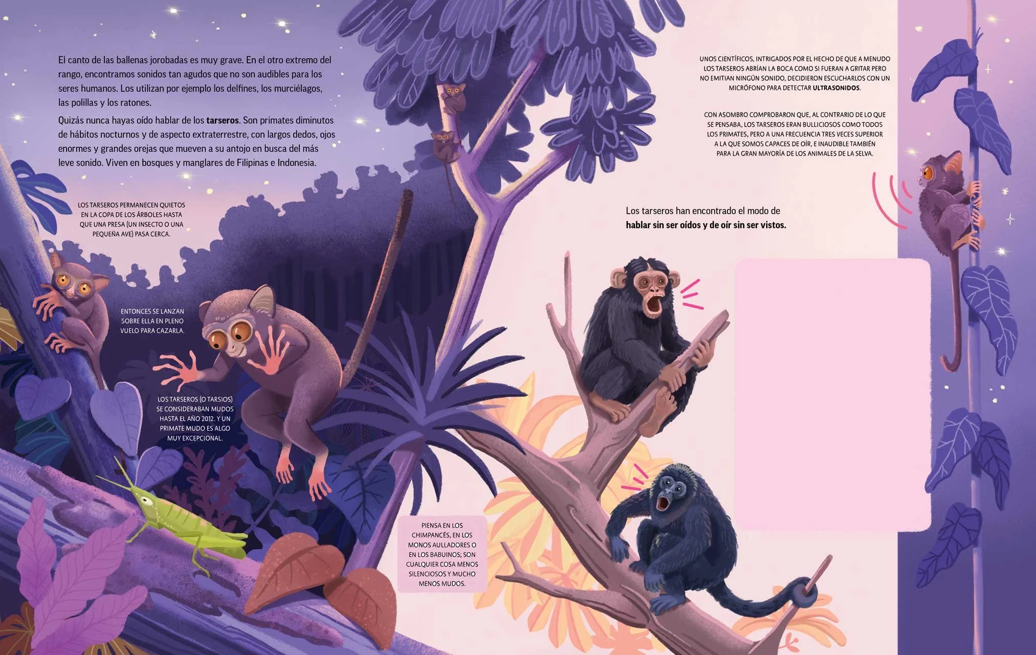 An illustrated scene of a jungle at dusk featuring bats, monkeys, a grasshopper, and trees with purple and blue leaves. Bats are depicted flying and hanging from branches, while monkeys are sitting on a branch, one with a surprised expression. The scene has a purple and pink background with some stars visible.