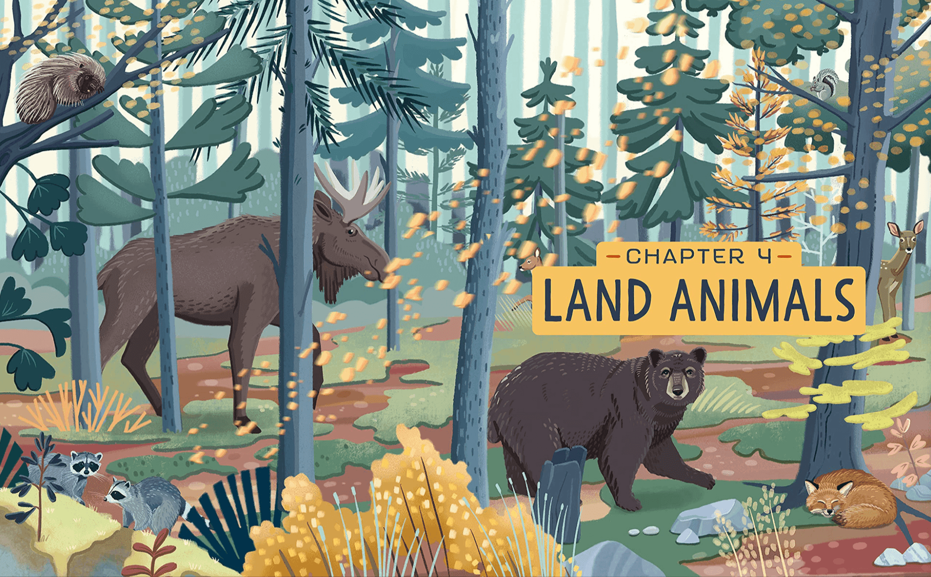 Illustration of forest scene with land animals, including a moose, bear, raccoons, fox, squirrel, deer, and raccoon, with a sign reading 'Chapter 4 Land Animals.'