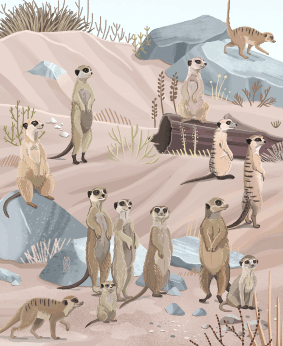 Group of meerkats standing and sitting on rocks and sand in a desert landscape with sparse vegetation and rocks.