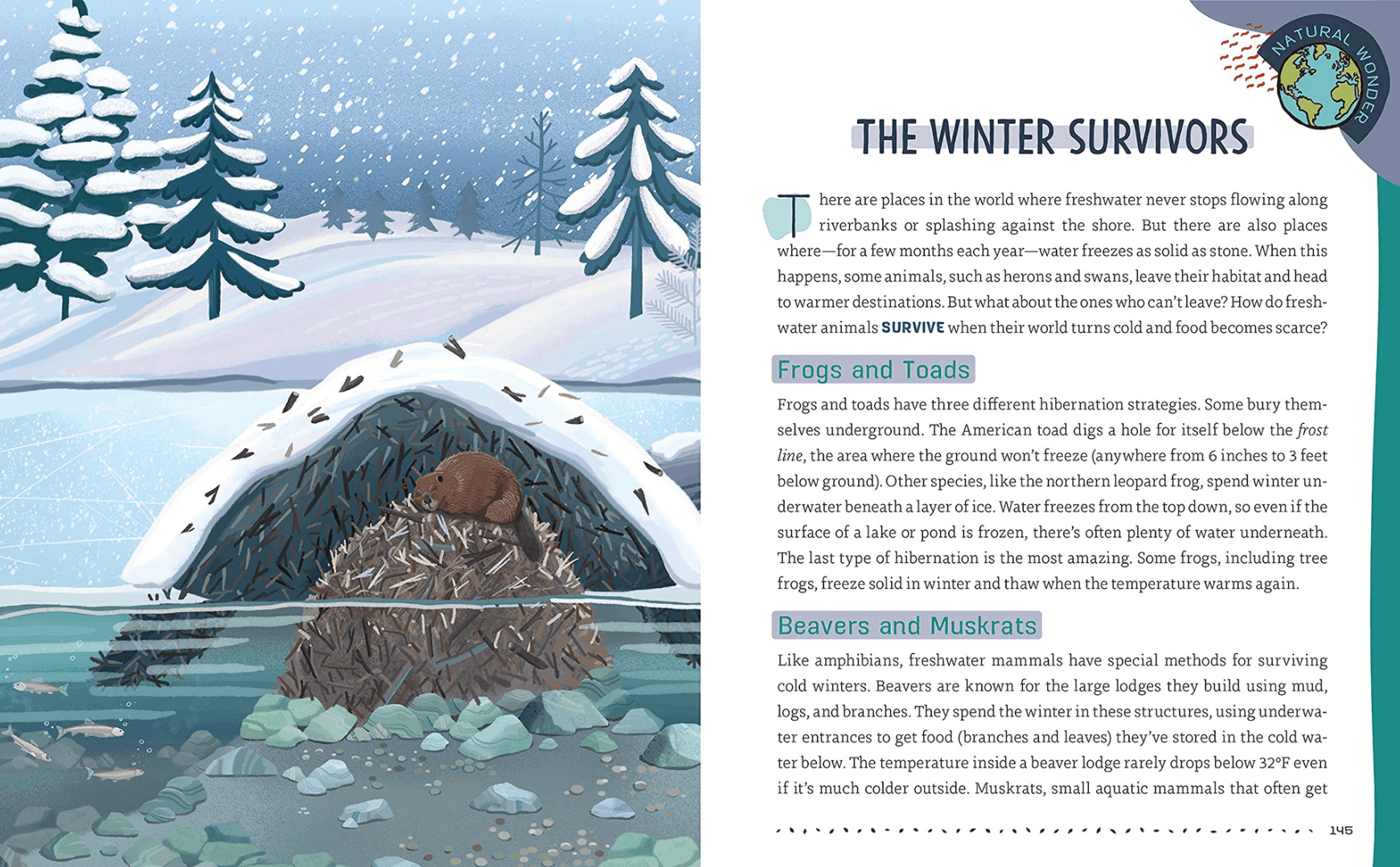 Illustration of an underwater beaver lodge in a winter landscape, with a beaver inside. Snow-covered trees and a snowstorm in the background, frozen lake with ice cracks, and fish swimming below the lodge.