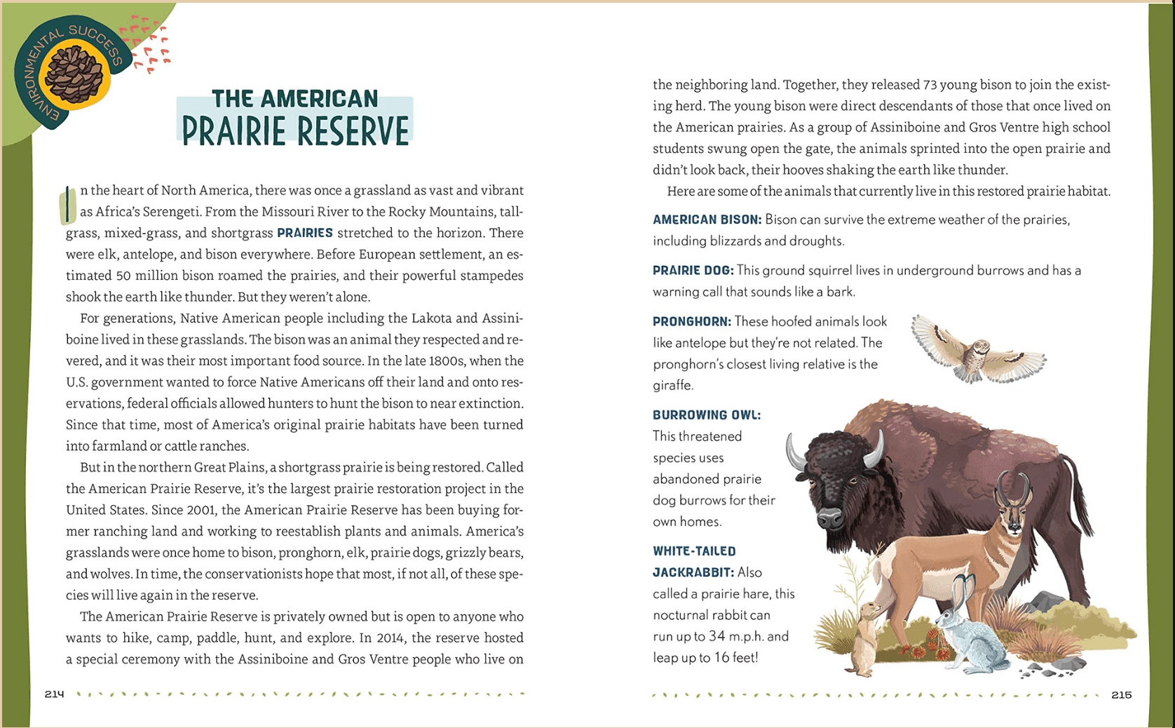 Illustration of animals from the American Prairie Reserve, including a bison, a prairie dog, a pronghorn, a burrowing owl, and a white-tailed jackrabbit, set against a natural landscape with rocks and grasses.