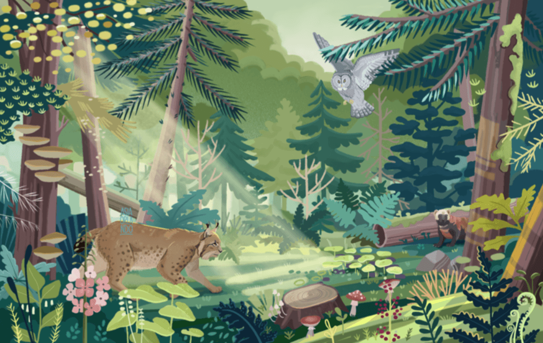 Illustration of a lush green forest with a mountain lion walking on the forest floor, a bear partially hidden among trees, an owl flying above, and sunlight filtering through trees, surrounded by colorful plants and mushrooms.