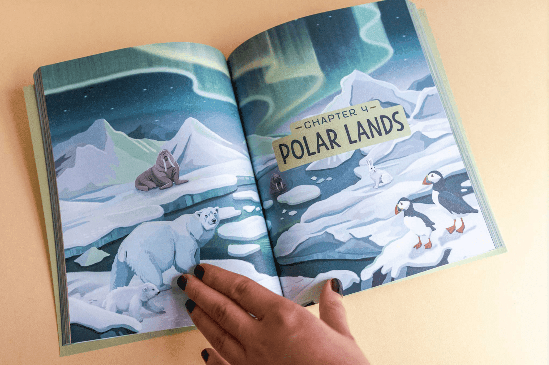 Open book illustration of the Arctic with polar bears, seals, and puffins under the northern lights.