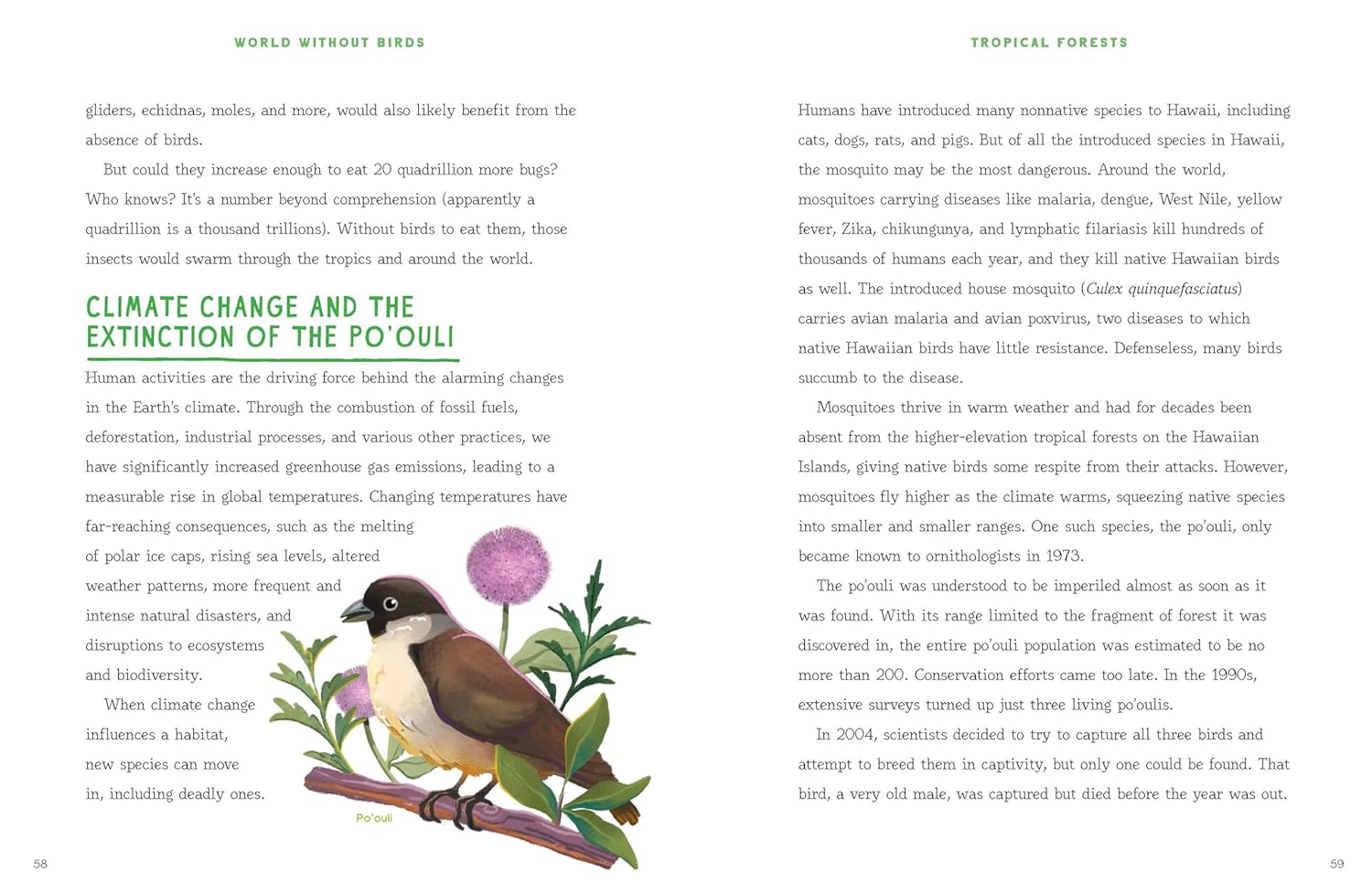 Climate change and the extinction of the Poʻouli, spread on tropical forests.