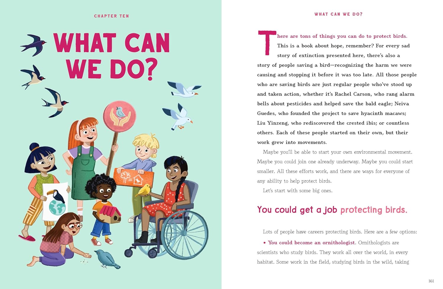What can we do?, a group of children rallying to protect birds.