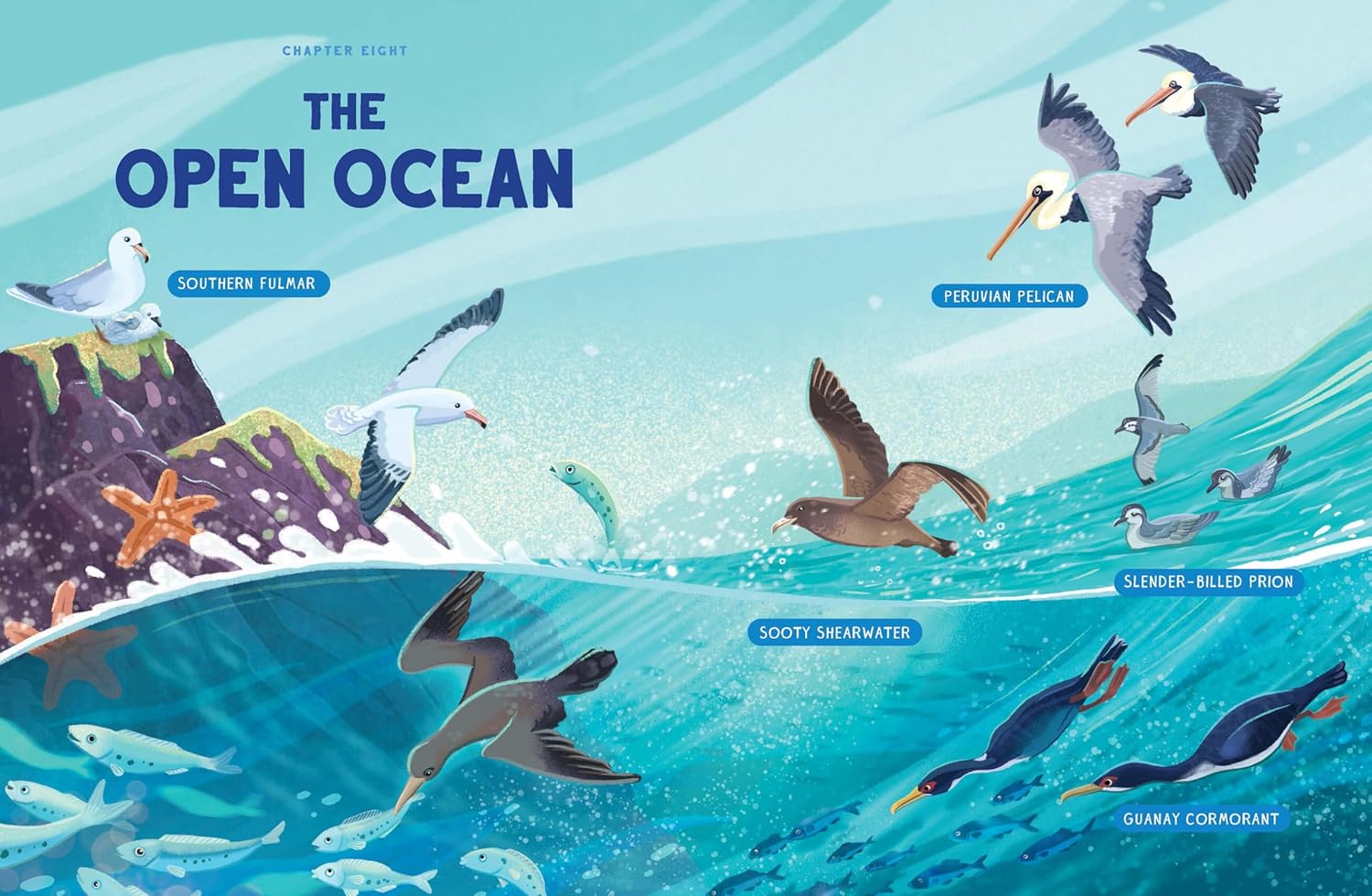 The Open Ocean chapter spread, sea birds and aquatic species above and below the water line.